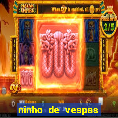 ninho de vespas significado espiritual